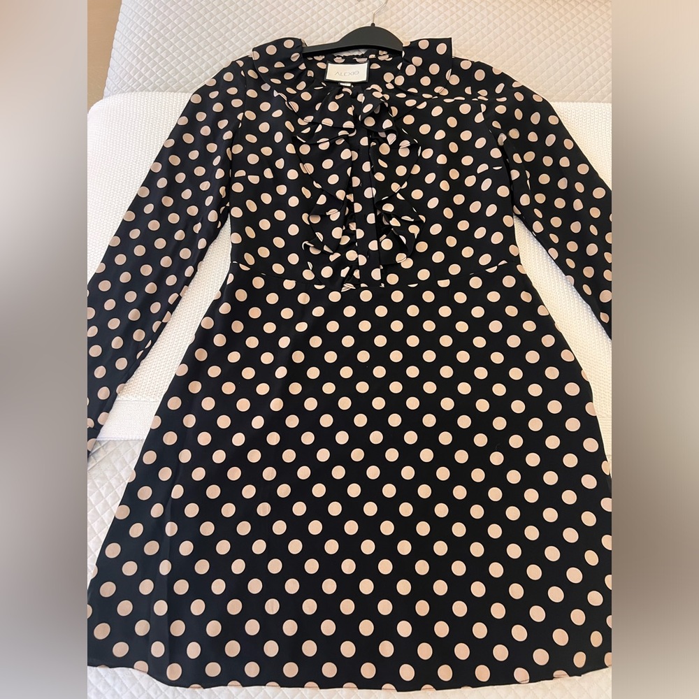 Polka dot silk dress